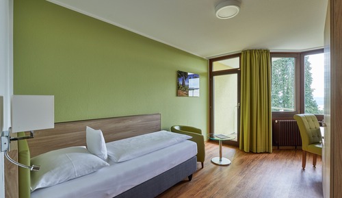 Habitación individual, vistas al lago