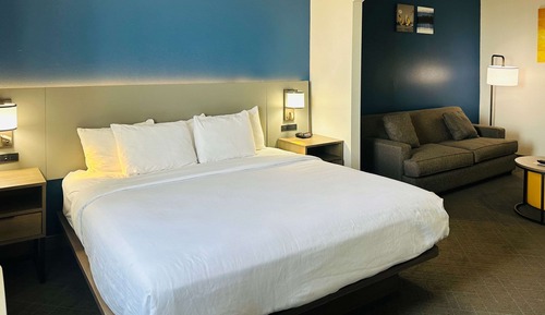 Suite, 1 cama de matrimonio grande, accesible para personas con discapacidad, no fumadores
