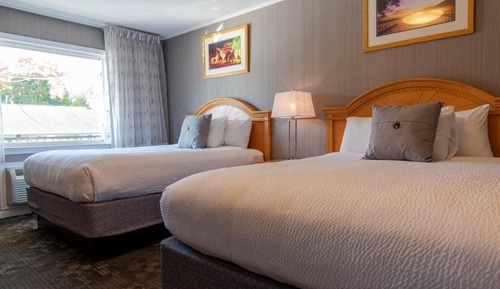 Habitación estándar, 2 camas de matrimonio