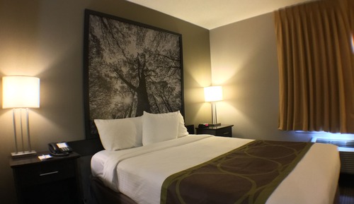 Suite, 1 cama de matrimonio