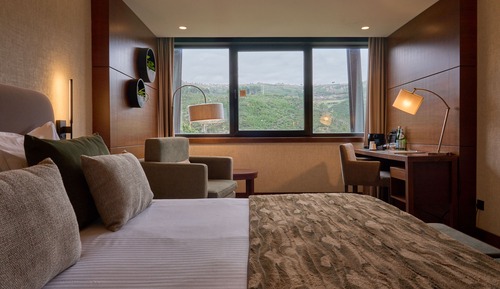 Habitación individual estándar
