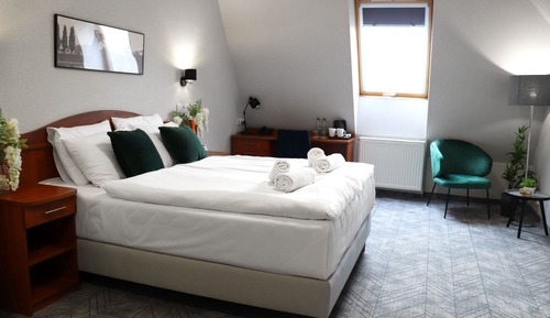 Habitación Premium doble, 1 cama de matrimonio grande