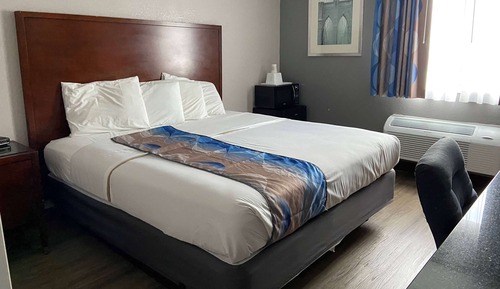Habitación estándar, 1 cama de matrimonio grande