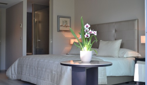 Habitación Deluxe doble