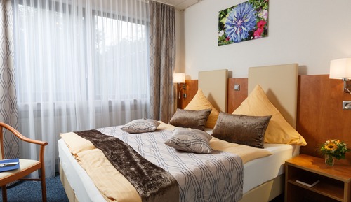 Habitación Confort con 1 cama doble o 2 individuales