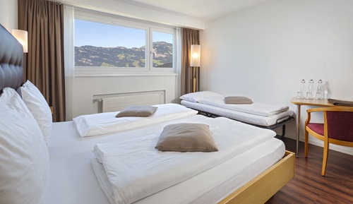 Habitación Confort doble, vistas al lago