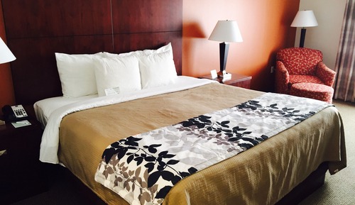 Habitación, 1 cama de matrimonio grande, accesible para personas con discapacidad, no fumadores