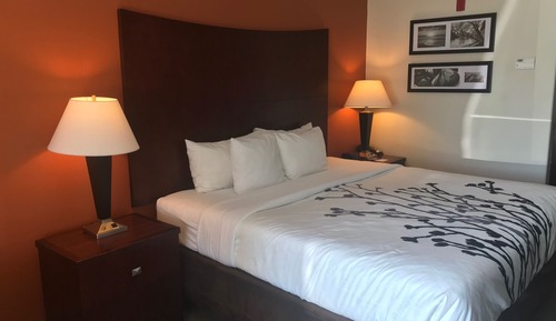 Suite, 1 cama de matrimonio grande con sofá cama, no fumadores