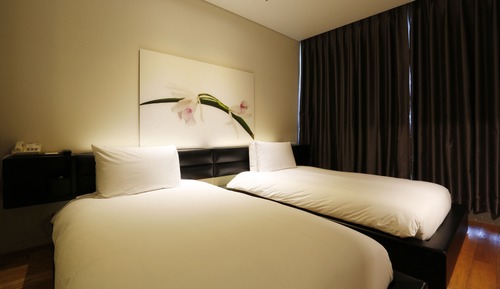 Habitación Deluxe, 2 camas individuales