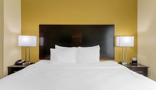 Suite, 1 cama de matrimonio grande, no fumadores, frigorífico y microondas
