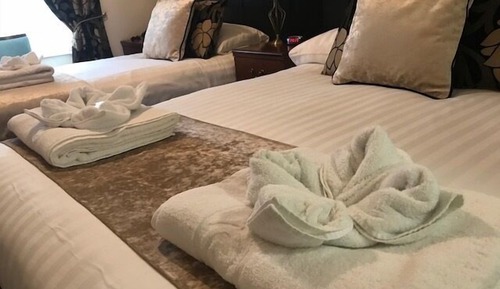 Suite superior, baño privado (5 person)