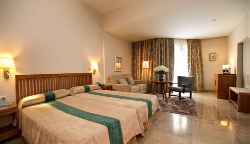 Habitación estándar con 2 camas individuales (3 adults)