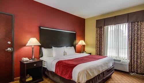 Suite estudio, no fumadores