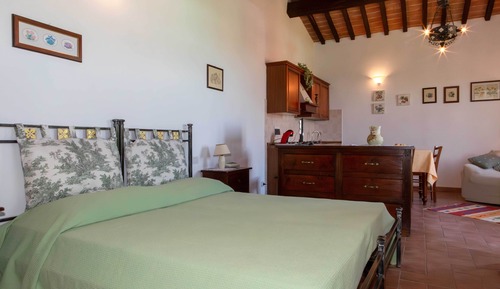 Estudio clásico, 1 habitación, cocina básica, vistas al jardín