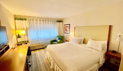 Suite, 1 cama de matrimonio grande con sofá cama