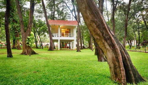 Suite Deluxe, vistas al jardín