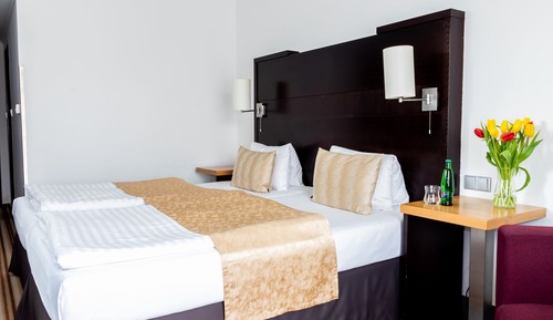 Habitación Confort con 1 cama doble o 2 individuales
