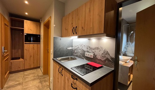 Apartamento, 1 habitación, no fumadores, balcón