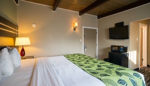 Habitación estándar, 1 cama de matrimonio grande