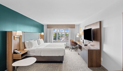 Habitación estándar, 1 cama de matrimonio grande