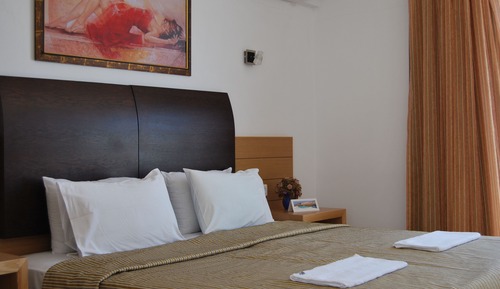 Habitación estándar doble de uso individual, vistas al jardín
