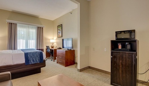 Suite, 1 cama de matrimonio grande con sofá cama, no fumadores (w/ Roll-in Shower)