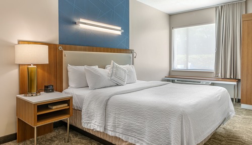 Estudio, 1 cama de matrimonio grande con sofá cama (Mobility/Hearing Access, Roll-in Shwr)