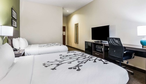 Habitación estándar, 2 camas de matrimonio, no fumadores