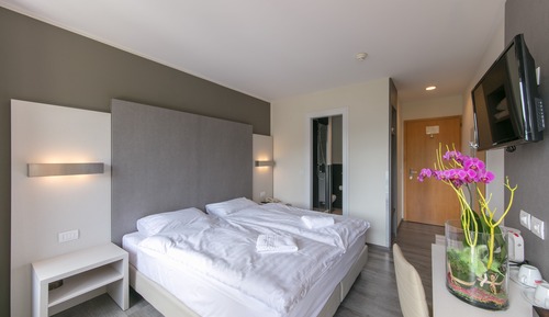 Habitación doble, balcón, vistas parciales al lago