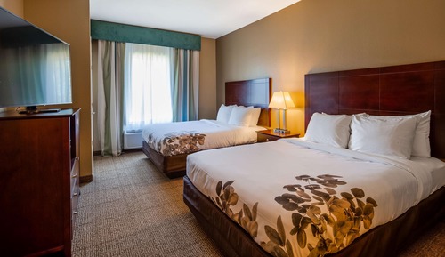 Suite, 2 camas de matrimonio, no fumadores, microondas (Pet Friendly;with Sofabed)