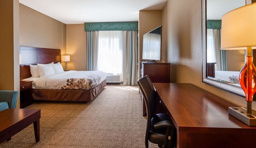 Suite, 1 cama de matrimonio grande, no fumadores, microondas (Pet Friendly;with Sofabed)