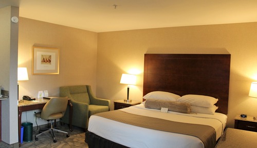 Habitación Premium, 1 cama de matrimonio grande, bañera de hidromasaje