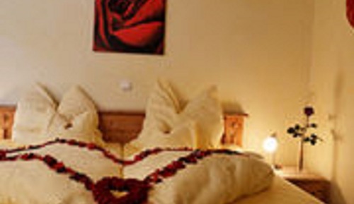 Habitación Business doble (Rose or Lily)