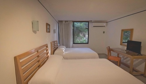 Habitación estándar, 2 camas dobles