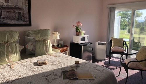 Habitación estándar, 1 cama de matrimonio, frigorífico y microondas, vistas al lago