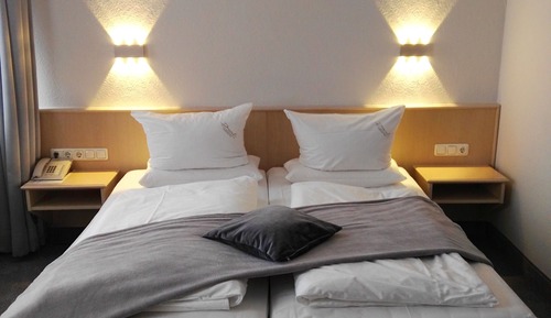 Habitación Business con 1 cama doble o 2 individuales