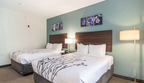 Habitación estándar, 2 camas de matrimonio, no fumadores