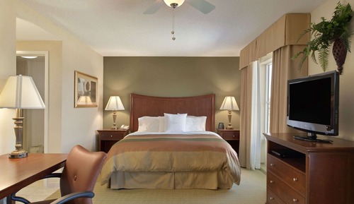 Suite estudio, 1 cama de matrimonio grande