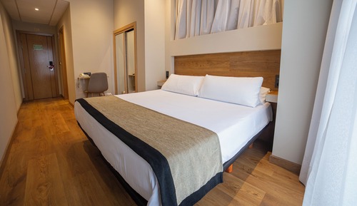 Habitación Business, 1 cama doble