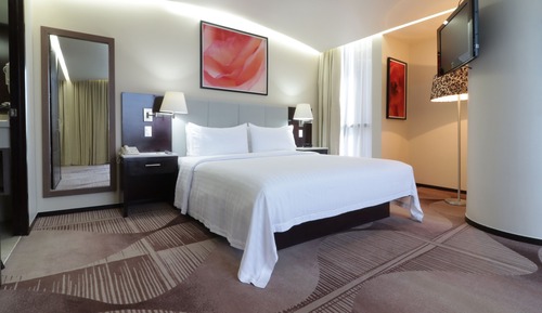 Habitación estándar, 1 cama de matrimonio grande