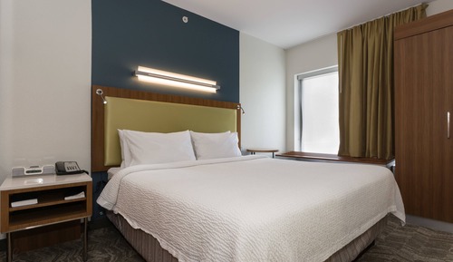 Suite estudio, 1 cama de matrimonio grande con sofá cama, no fumadores