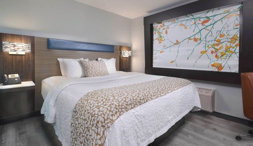 Habitación estándar, 1 cama de matrimonio grande, no fumadores