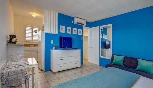 Efficiency (1 King Bed)