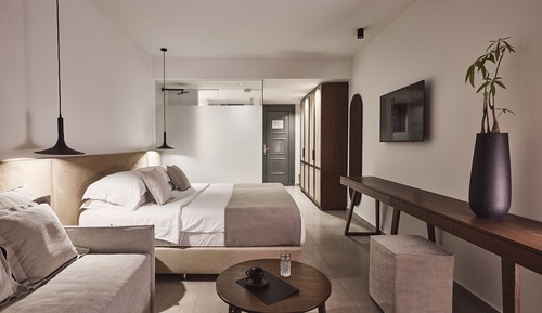 Habitación estándar con 1 cama doble o 2 individuales, vistas al jardín