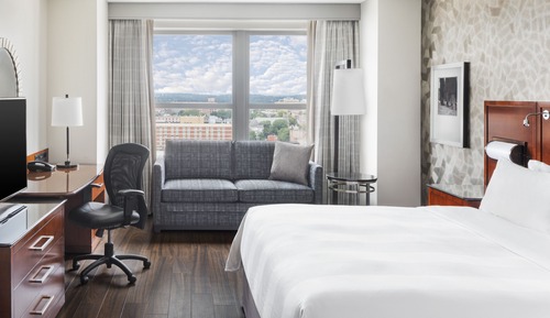 Habitación, 1 cama de matrimonio grande con sofá cama