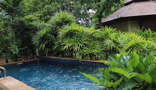 Deluxe Pool Villa