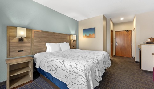 Habitación estándar, 1 cama de matrimonio grande, no fumadores, microondas