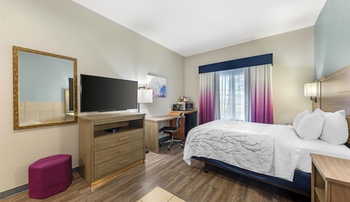 Habitación estándar, 1 cama de matrimonio, accesible para personas con discapacidad