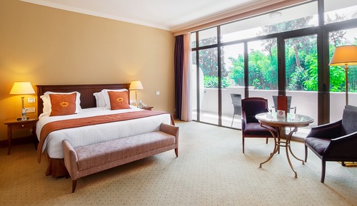Habitación Deluxe, vistas al jardín