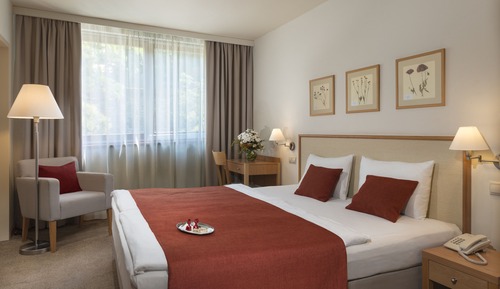 Habitación estándar doble